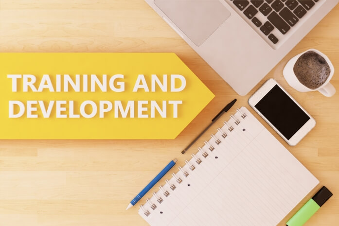 The Key to a Successful Training and Development Strategy