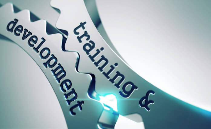 Why Are Training and Development Important?